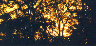 sunsets
