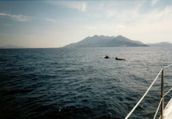 greece - dolphin 3